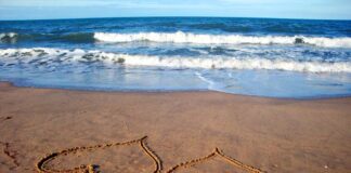 Beautiful Ideas for Your Wedding Photos