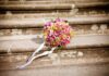 What to Consider Before Planning an Outdoor Wedding